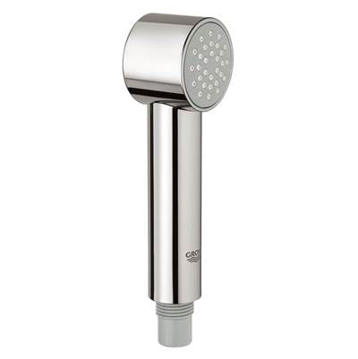 Grohe 46819000- pull out spray US | FaucetExpress.ca