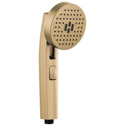 Brizo 88006-GL- Multifunction Hand Shower