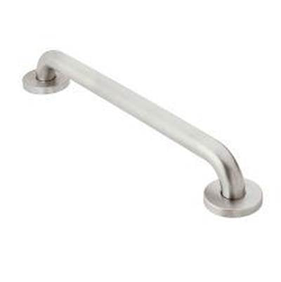 Moen R8716P- Home Care Peened 16'' Concealed Screw Grab Bar