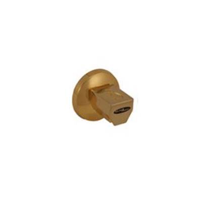 Relax A Mist AS700125- Steam Nozzle TD - Residential - 24 Karat Gold Plated