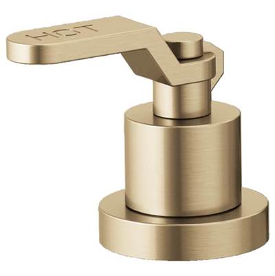 Brizo HL634-GL- Roman Tub Handle Kit - Industrial Lever | FaucetExpress.ca