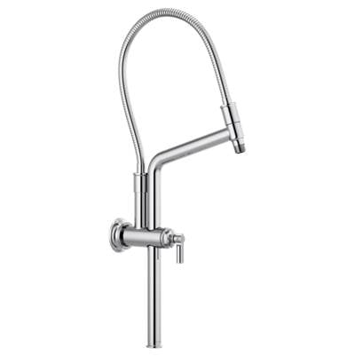 Brizo 81376-PC- Height Adjustable Shower Arm And Flange | FaucetExpress.ca