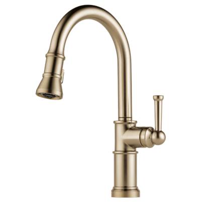 Brizo 63025LF-GL- Single Handle Pull-Down Kitchen Faucet | FaucetExpress.ca
