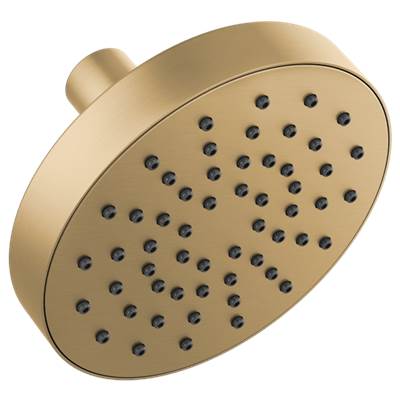 Brizo 82392-GL-2.5- Euro Rd Single Function Showerhead