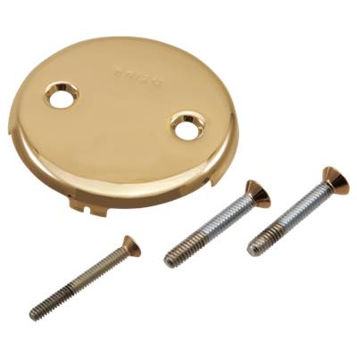 Brizo RP43153PG - Toe-Operated Plate With Screws
