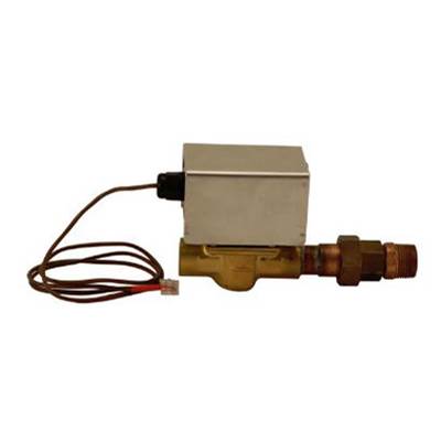 Relax A Mist AS305050- Electronic Drain Valve - Ordered with Steam Generator