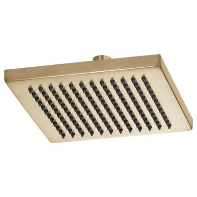 Brizo 83341-GL-2.5 - Square Raincan Showerhead