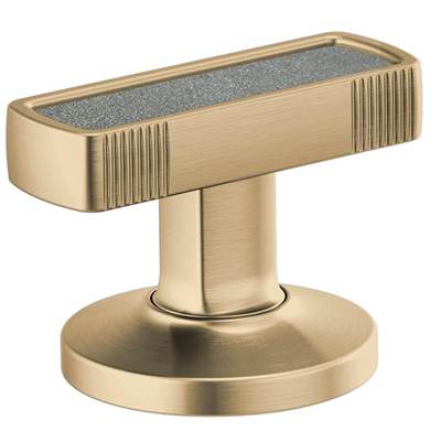 Brizo HI5306-GLCT- Knob Handle W/Concrete Insert