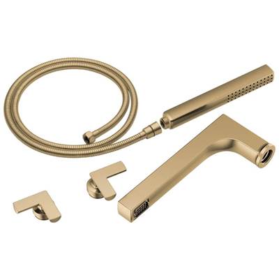 Brizo T70307-GL- 2H Tub Filler Trim Kit