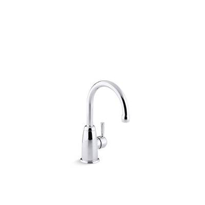 Kohler 6665-CP- Wellspring® beverage faucet with contemporary design | FaucetExpress.ca
