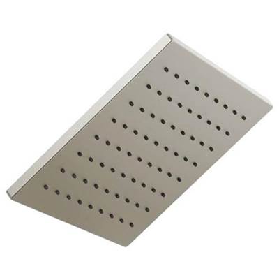 Brizo 81399-BN - Square Raincan Showerhead
