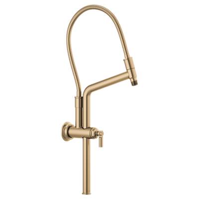 Brizo 81376-GL- Height Adjustable Shower Arm And Flange | FaucetExpress.ca