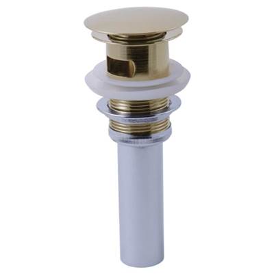 Brizo RP72414PN- Brizo: Push Pop-Up - With Overflow | FaucetExpress.ca