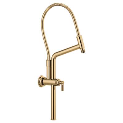 Brizo 81376-PG- Height Adjustable Shower Arm And Flange | FaucetExpress.ca