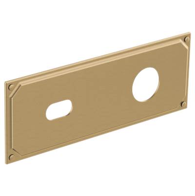 Brizo RP100323GL- Wallmount Lavatory Escutcheon Plate