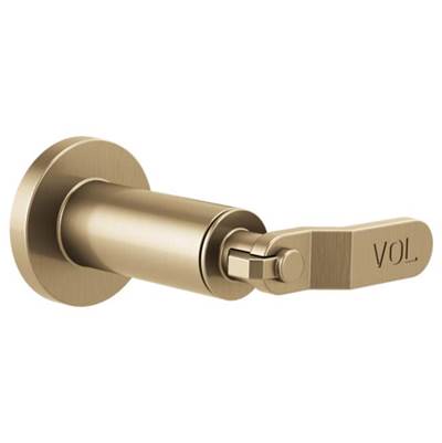 Brizo T66634-GL- Sensori Volume Control Trim - Industrial Lever | FaucetExpress.ca
