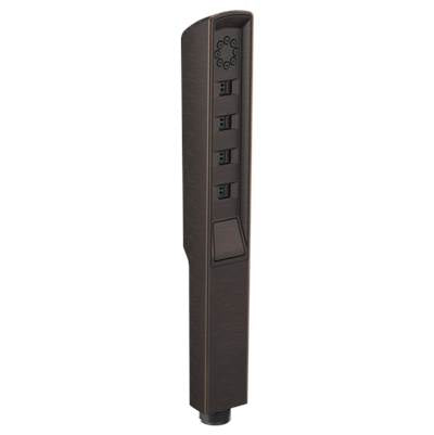 Brizo RP92007RB - Hand Shower
