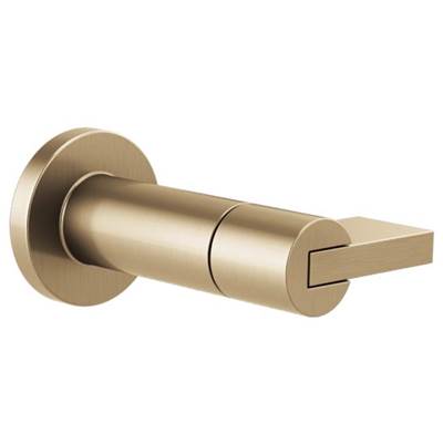 Brizo T66632-GL- Sensori Volume Control Trim - Leve | FaucetExpress.ca