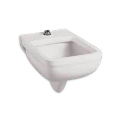 American Standard 9512999.020- Wall-Hung Clinic Service Sink