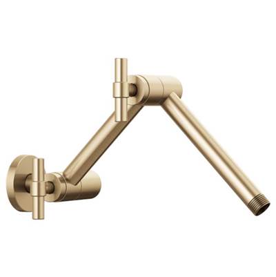 Brizo RP81434GL- Shower Arm And Flange | FaucetExpress.ca