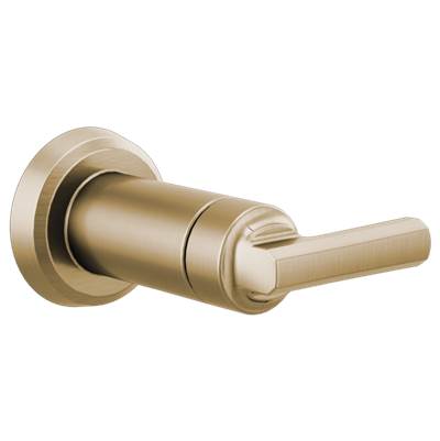 Brizo T66697-GL- Sensori Volume Control Trim - Lever | FaucetExpress.ca