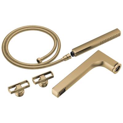 Brizo T70308-GL- 2H Tub Filler Trim Kit