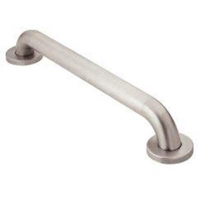 Moen LR8716P- Home Care Peened 16'' Concealed Screw Grab Bar