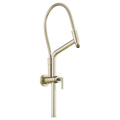 Brizo 81892-PN- Slidebar Shower Arm & Flange