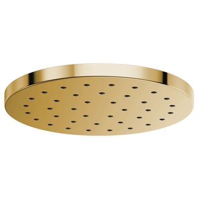 Brizo 81987-PG-2.5 - 14" H2O Round Raincan 1-Setting