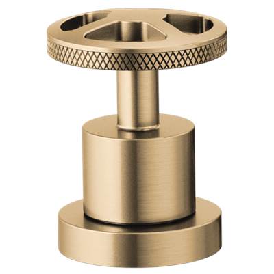 Brizo HW632-GL - Roman Tub Wheel Handle Kit