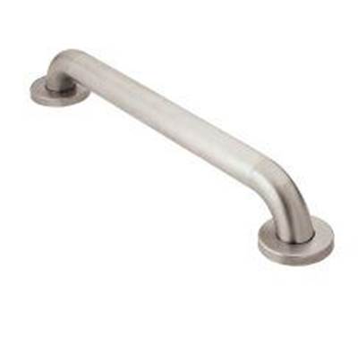 Moen R8912P- Home Care Peened 12'' Concealed Screw Grab Bar